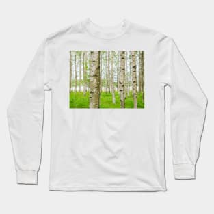 Birch Trees Long Sleeve T-Shirt